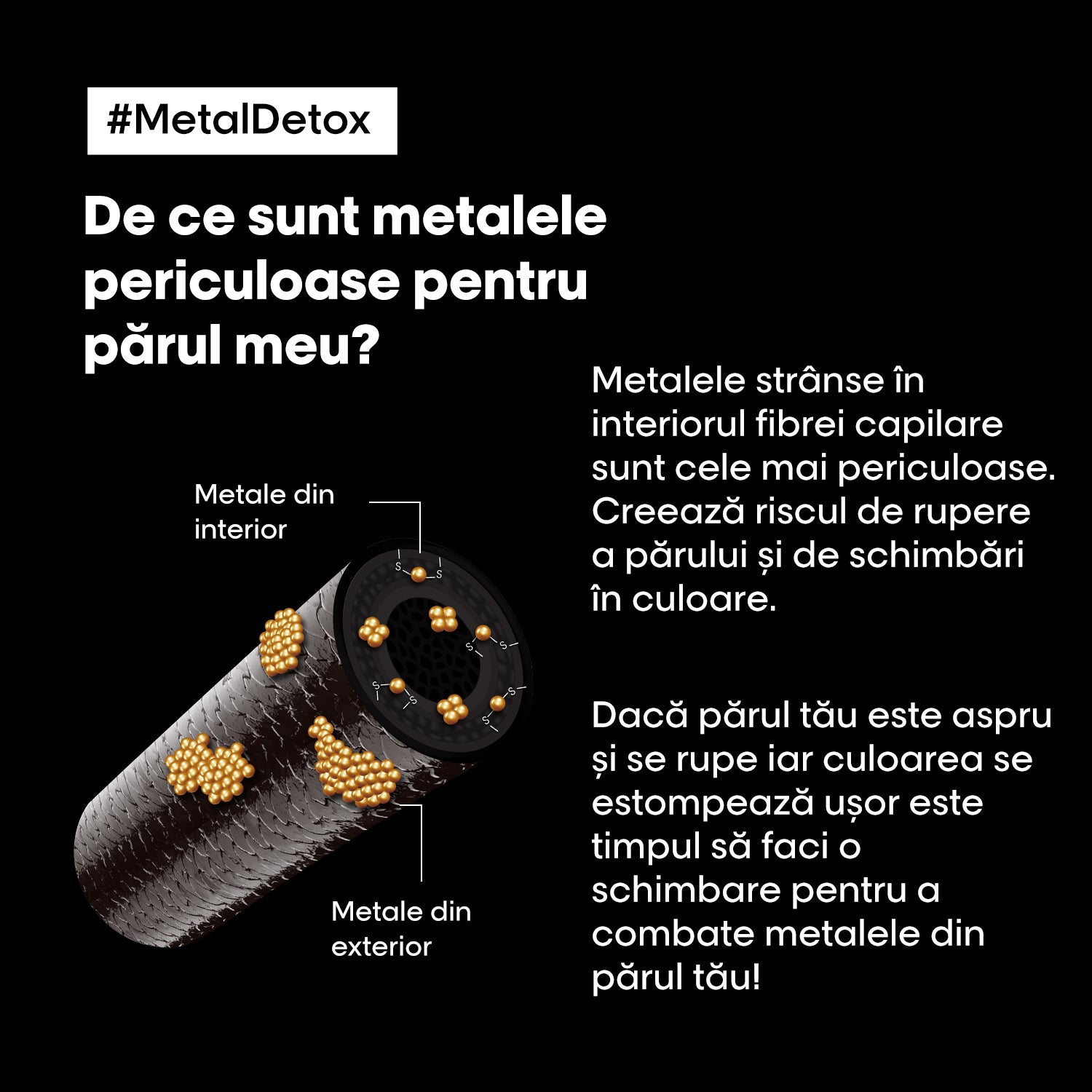 Sampon impotriva ruperii parului si mentine culoarea L’Oréal Professionnel Metal Detox Sampon-crema 1500ml