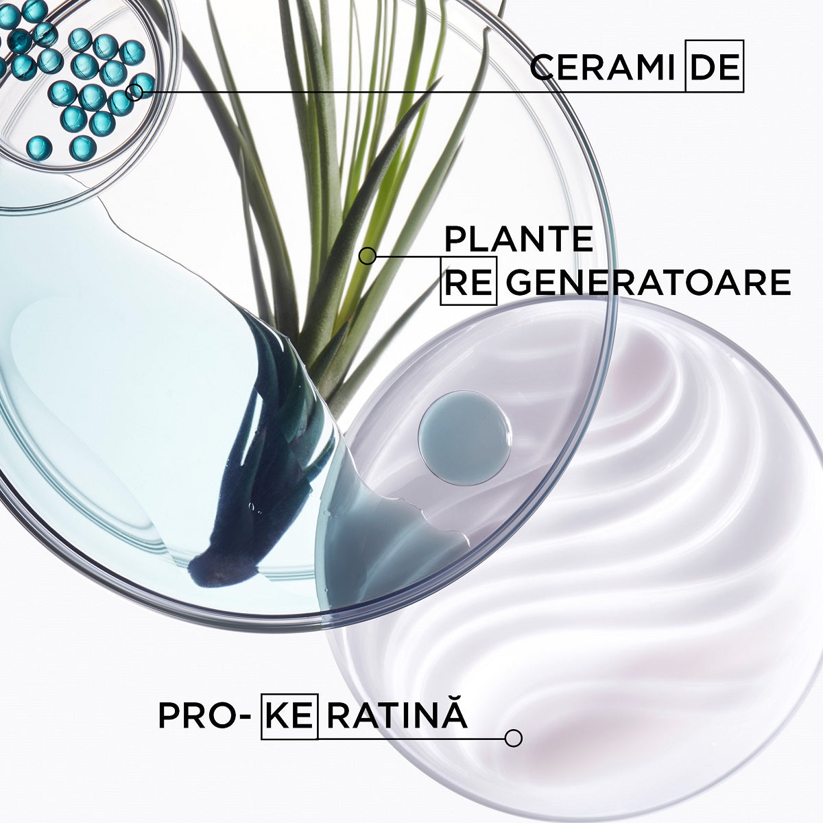 Sampon Kerastase Resistance Bain Force Architecte 500ml