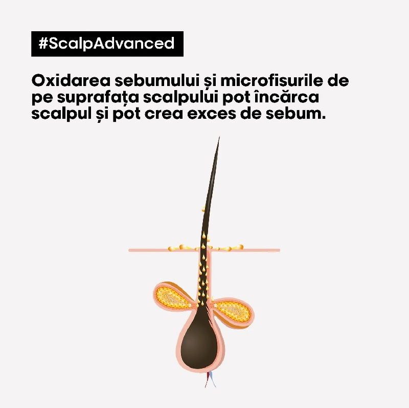 Sampon si Masca 2 in 1 cu argila L'oreal Professionnel Scalp Advanced 250ml