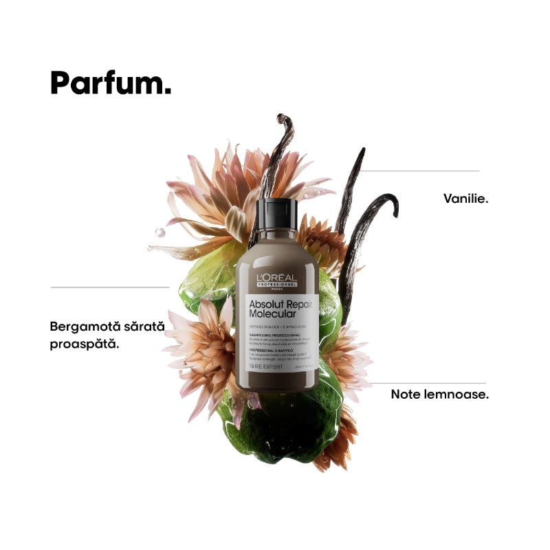 L'Oreal Professionnel SE Absolut Repair Molecular - Rezerva Sampon 500ml