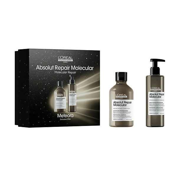 Set L’Oréal Professionnel Serie Expert Absolut Repair Molecular - Sampon 300ml + Ser 250ml
