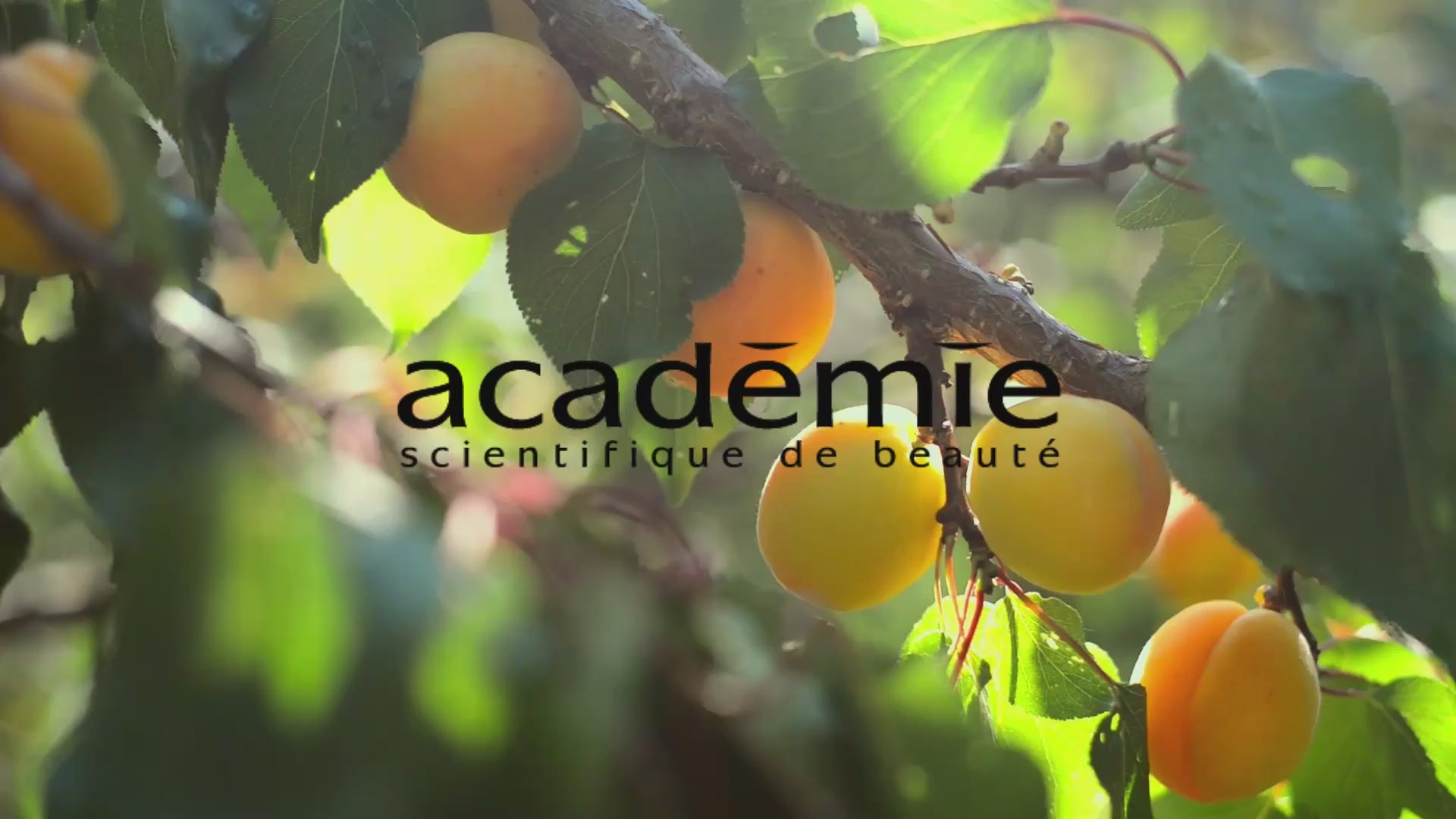Încărcați videoclipul: Balsam pentru luminozitate Academie Aquabaume Eclat 50ml