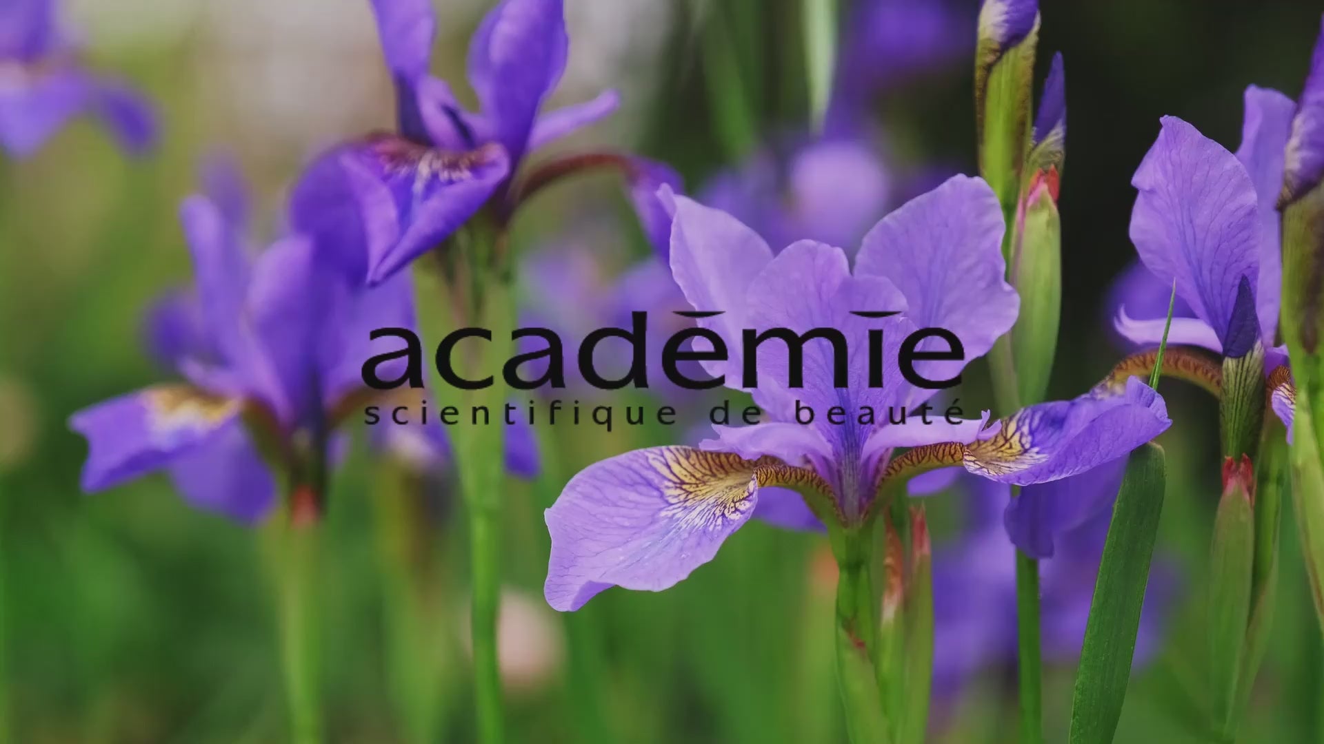 Încărcați videoclipul: Crema efect anti-age Academie Seve Miracle 50ml